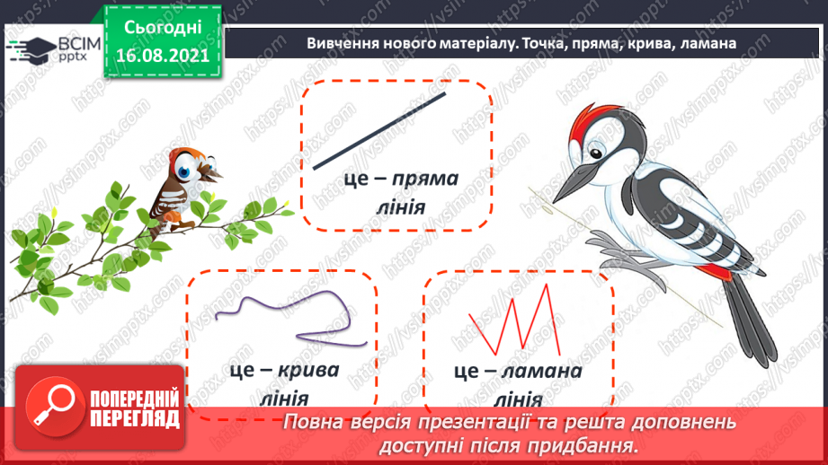 №003 - Спільні й відмінні ознаки. Точка, пряма, крива, ламана. Підготовчі вправи до написання цифр12