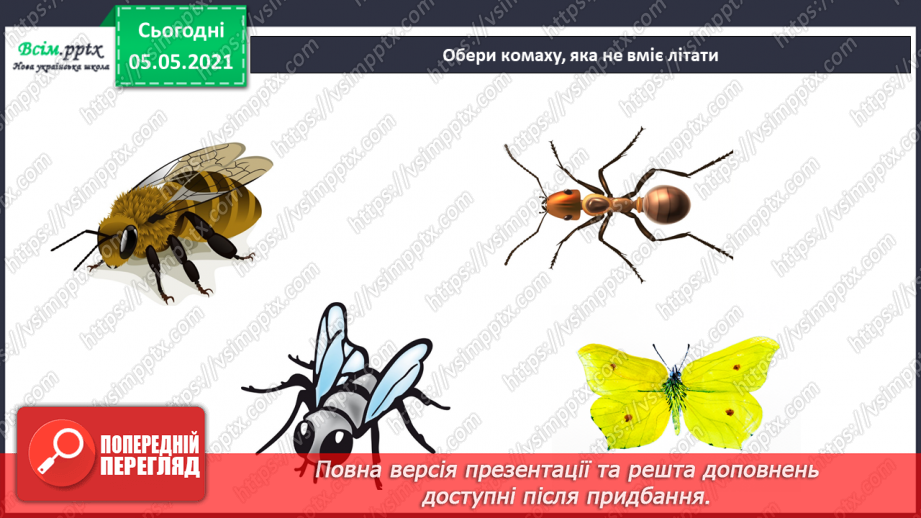 №041 - Різноманітність тварин у природі. Комахи19 №041 - Різноманітність тварин у природі. Комахи19