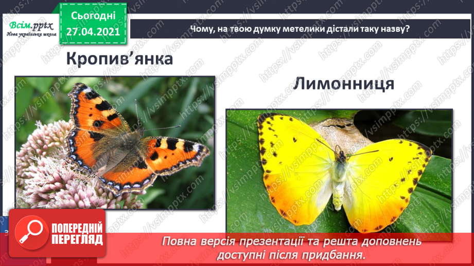 №085 - Які комахи з’являються навесні першими?27 №085 - Які комахи з’являються навесні першими?27