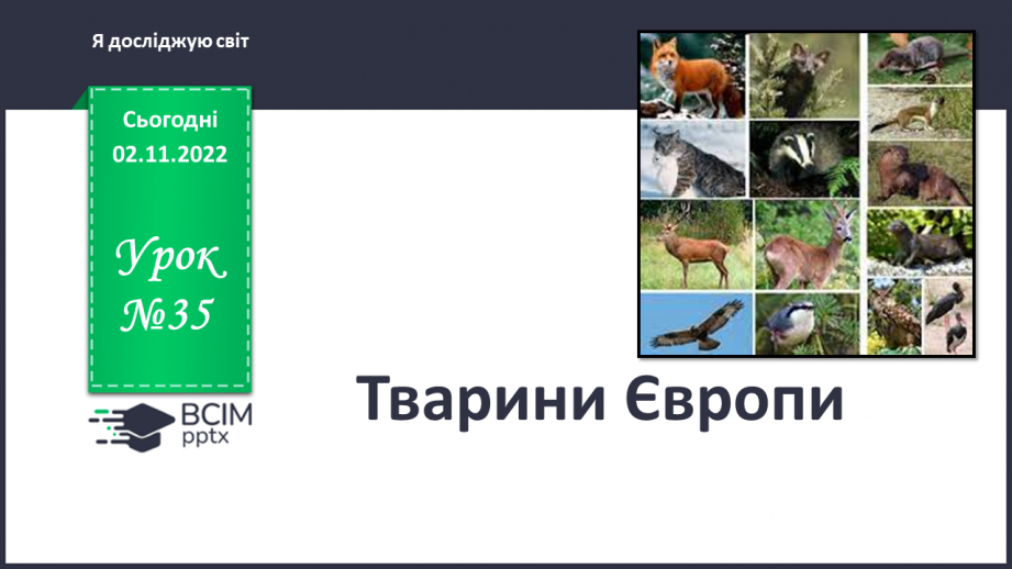 №035 - Тварини Європи.0