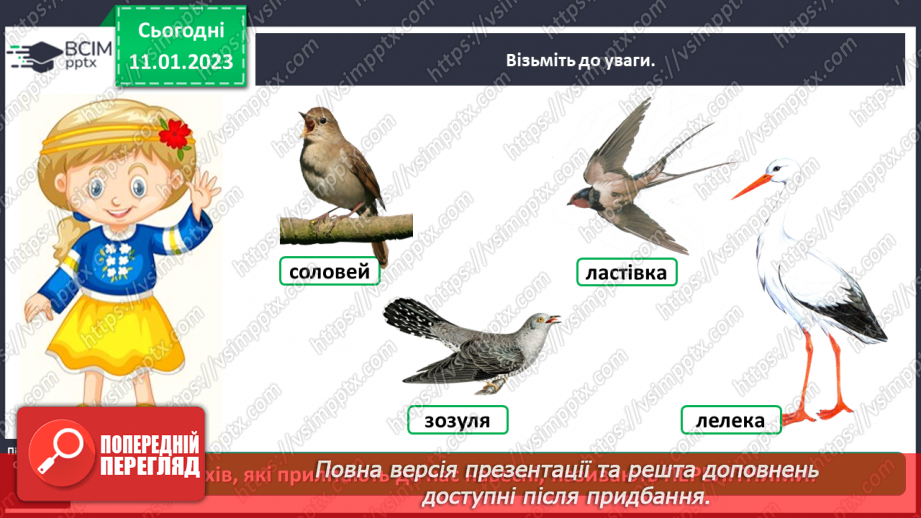 №0057 - Птахи12