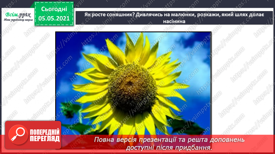 №035 - Сторінка дослідників. Як виростити нову рослину. Умови проростання насіння25 №035 - Сторінка дослідників. Як виростити нову рослину. Умови проростання насіння25