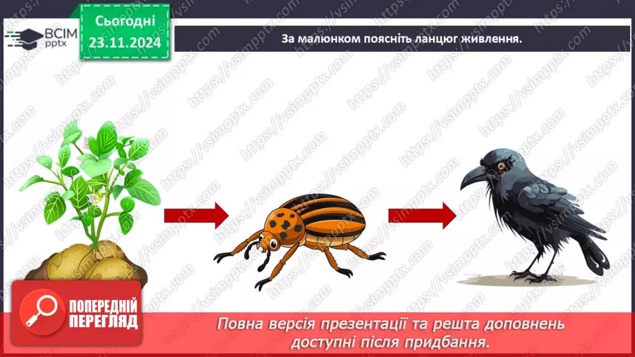 №0038 - Які невидимі ланцюги є в осінньому лісі16 №0038 - Які невидимі ланцюги є в осінньому лісі16