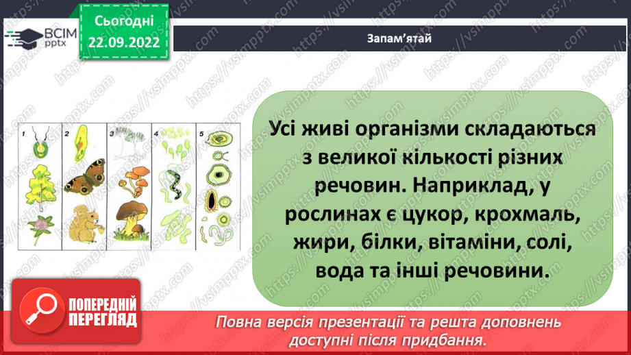 №11-12 - Як дослідити фізичні властивості тіл і речовин.8