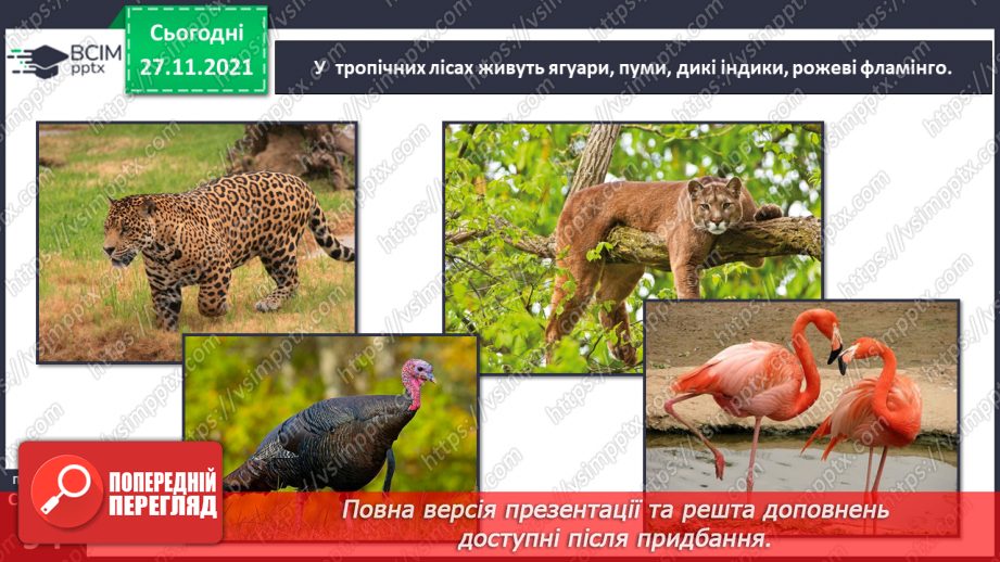 №042 - Материки Землі. Особливості природи материків17 №042 - Материки Землі. Особливості природи материків17