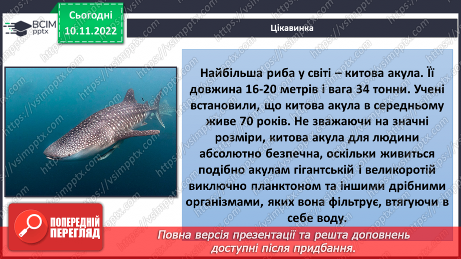№038 - Риби, земноводні та плазуни.7 №038 - Риби, земноводні та плазуни.7