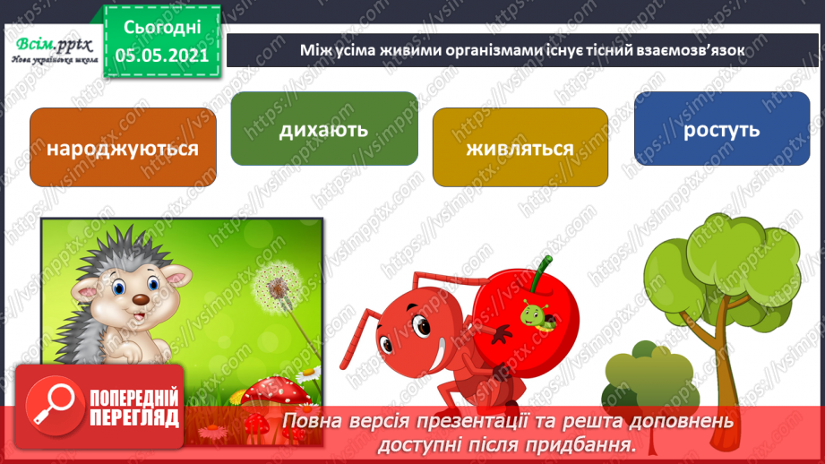 №031 - Організми, які тебе оточують.15