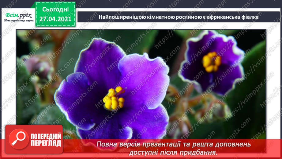 №017 - Вирощування кімнатних рослин3 №017 - Вирощування кімнатних рослин3