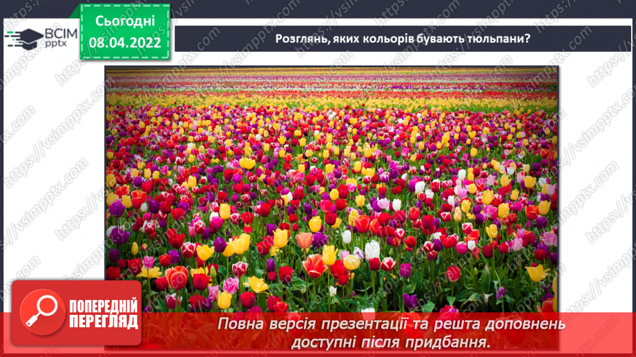 №029-30 - У чому моя неповторність? Виготовлення букету з тюльпанів в техніці оригамі7