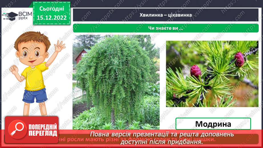 №0052 - Листяні і хвойні рослини14 №0052 - Листяні і хвойні рослини14
