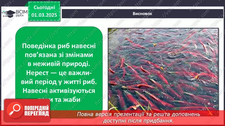 №0073 - Як змінюється життя у водоймах навесні24 №0073 - Як змінюється життя у водоймах навесні24