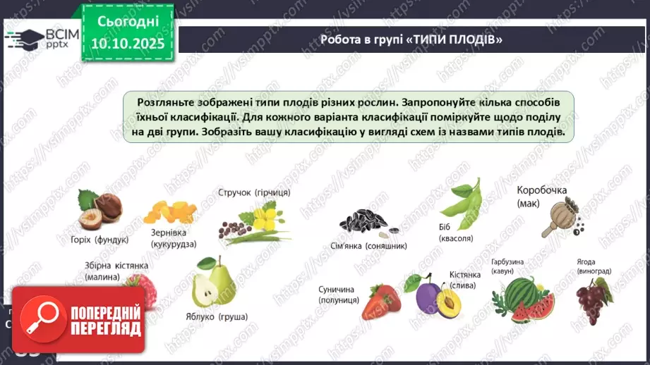 №024 - Покритонасінні рослини: квітка та плід. Значення в екосистемах.27 №024 - Покритонасінні рослини: квітка та плід. Значення в екосистемах.27
