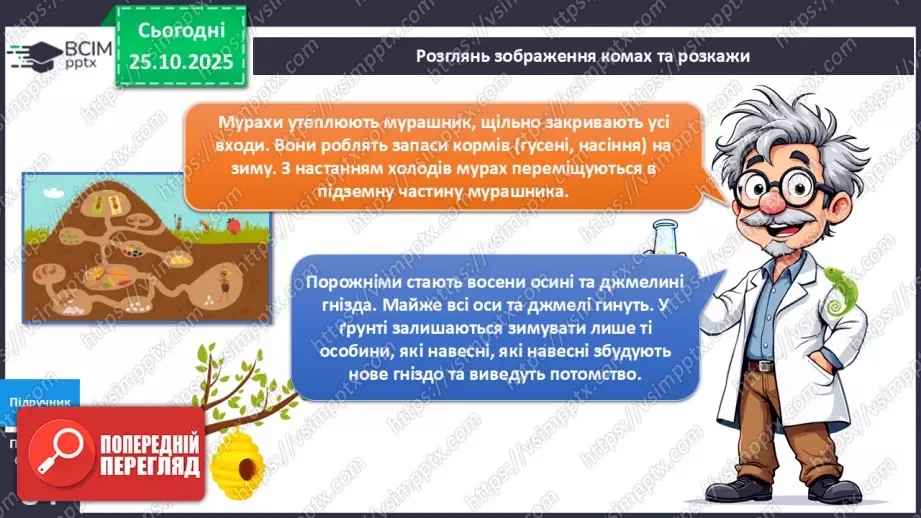 №028 - Комахи восени.13 №028 - Комахи восени.13