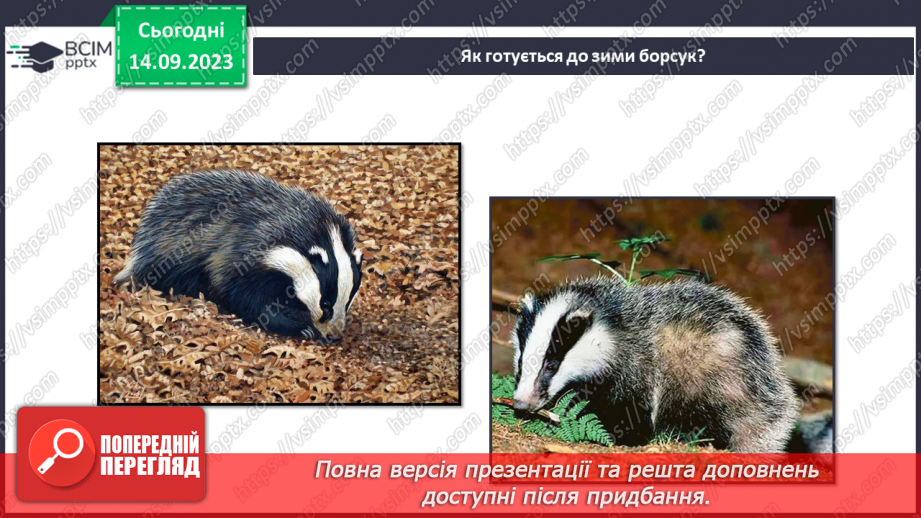 №012 - Тварини восени. Чому до зими потрібно готуватись? Як тварини до зими готуються?17