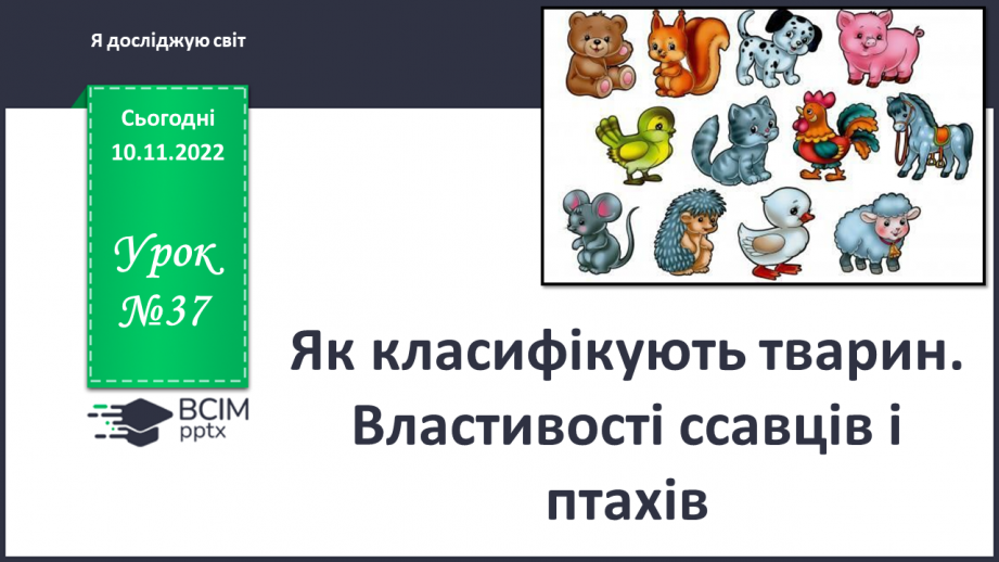 №037 - Як класифікують тварин. Властивості ссавців і птахів.0 №037 - Як класифікують тварин. Властивості ссавців і птахів.0