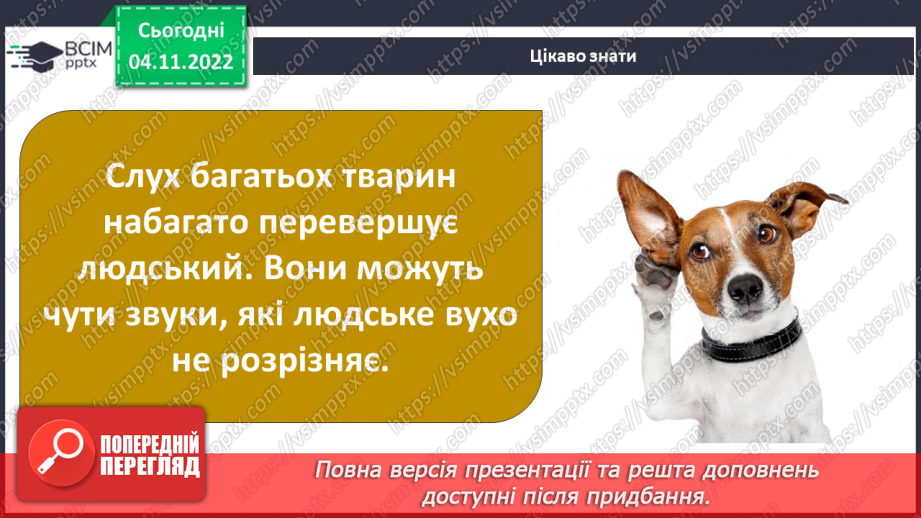№23 - Чим важливі звукові явища у природі та житті людини. Виникнення звуку та його поширення на відстані.9 №23 - Чим важливі звукові явища у природі та житті людини. Виникнення звуку та його поширення на відстані.9