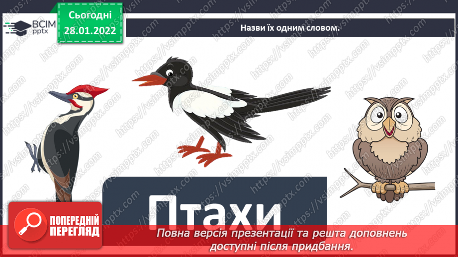 №061 - Як невидиме може стати видимим? досліджуємо разом. Спостереження за пташками16