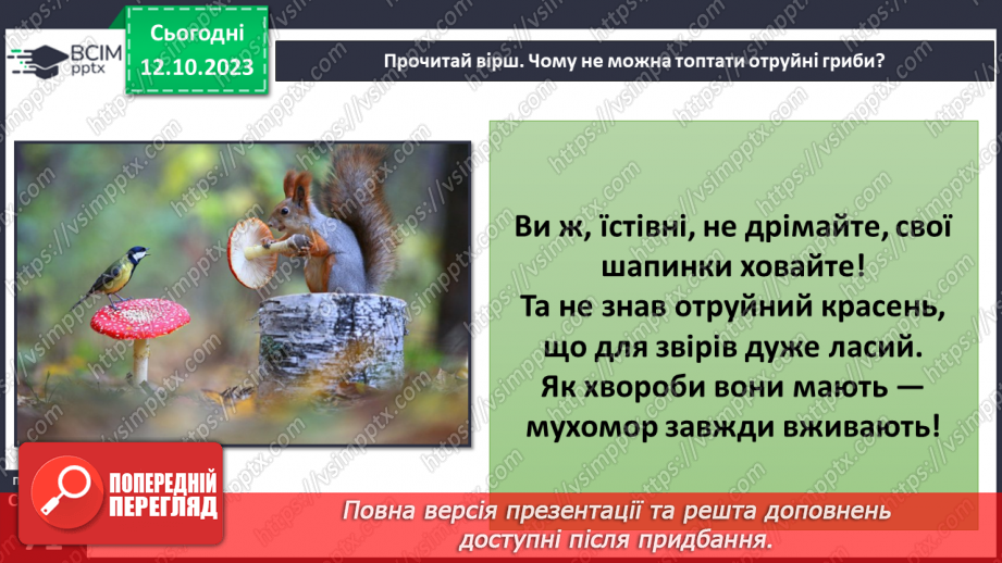 №024 - Осінь - грибна пора25 №024 - Осінь - грибна пора25