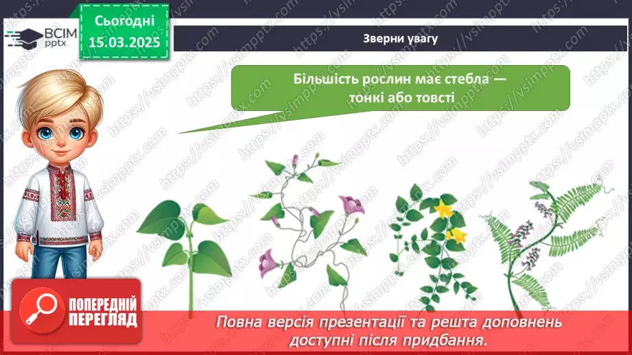 №080 - Будова рослин. Форма листя.6 №080 - Будова рослин. Форма листя.6