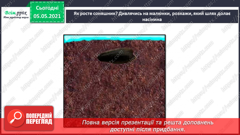 №035 - Сторінка дослідників. Як виростити нову рослину. Умови проростання насіння17 №035 - Сторінка дослідників. Як виростити нову рослину. Умови проростання насіння17