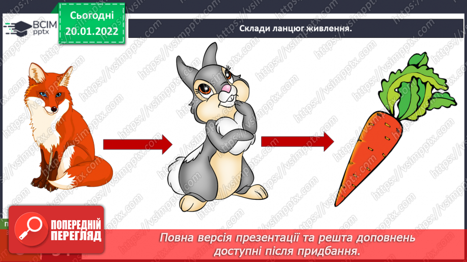 №058 - Які невидимі зв’язки є у природі? Комікс: «Чому говорять, що правда вийде нагору, як олія з води?»23