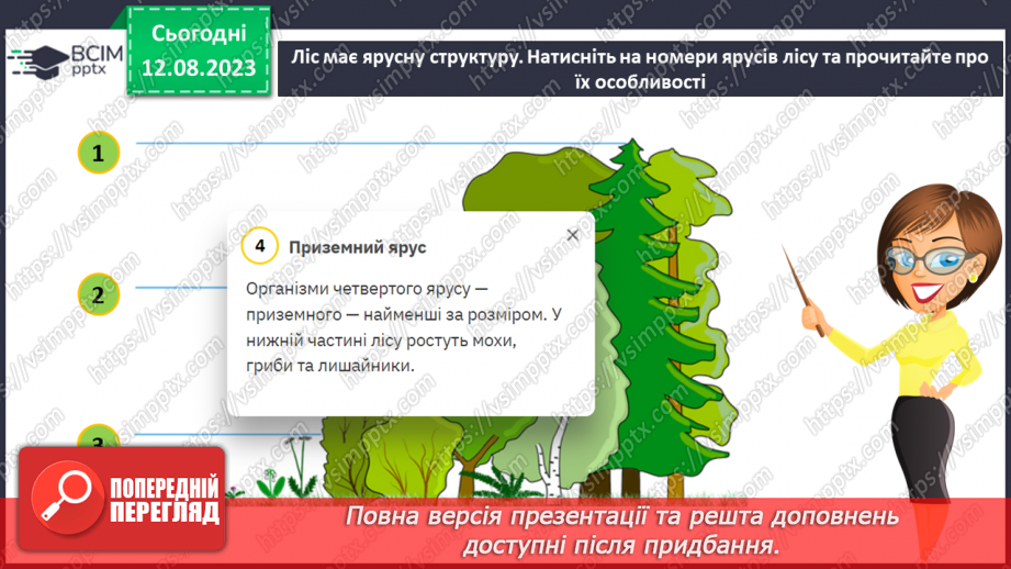 №38 - Ліс як екосистема. Структура лісу.16 №38 - Ліс як екосистема. Структура лісу.16