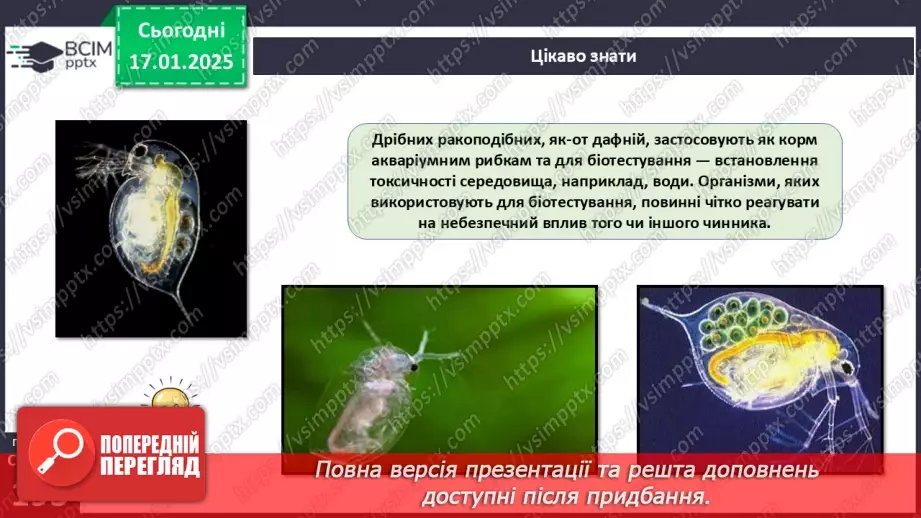№55 - Членистоногі - безхребетні тварини із зовнішнім скелетом. Ракоподібні.21
