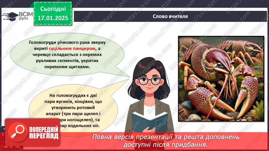 №55 - Членистоногі - безхребетні тварини із зовнішнім скелетом. Ракоподібні.15