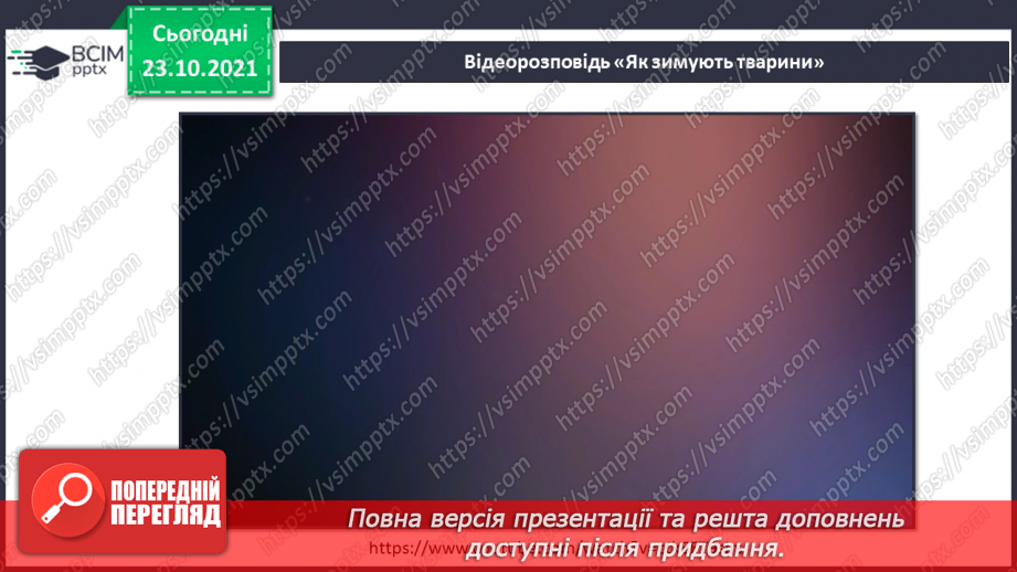 №030 - Як територія може стати домівкою? Комікс: «Як зимують комахи?»23 №030 - Як територія може стати домівкою? Комікс: «Як зимують комахи?»23
