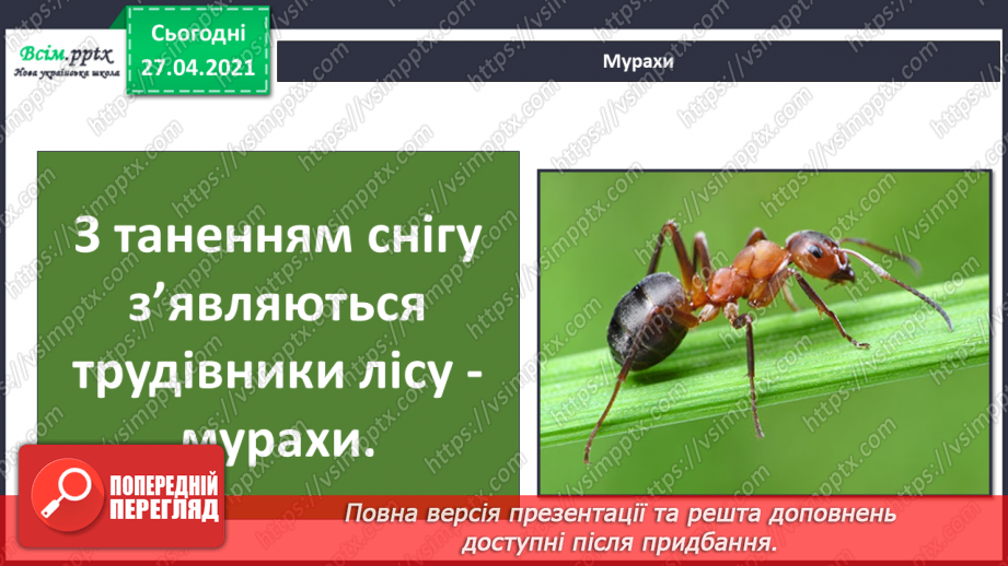 №076 - Які комахи з’являються першими навесні  Проект «Травневий хрущ: користь чи шкода?»9