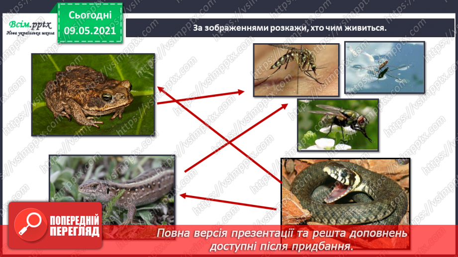 №074-75 - Які тварини живуть на луках, у степах і водоймах?12