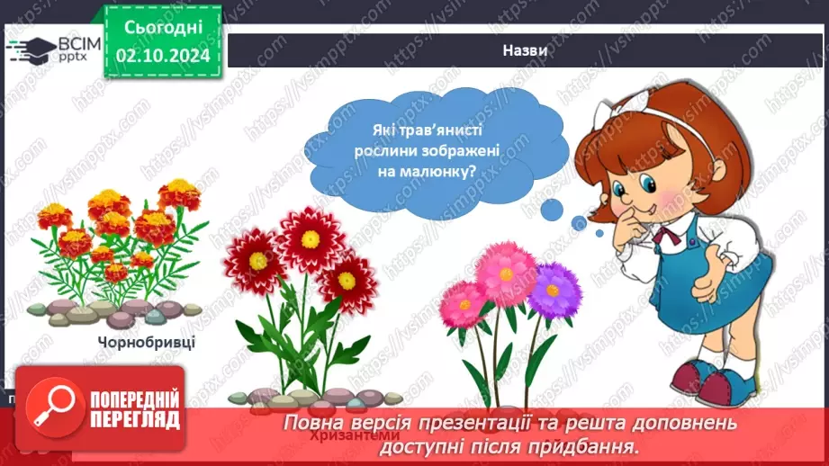 №021 - Рослини восени. Ходить гарбуз по городу.9