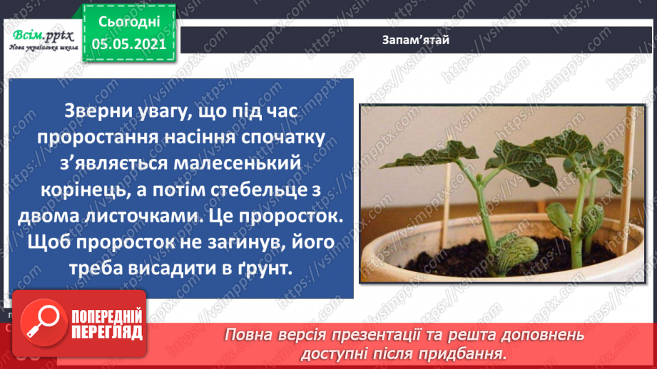 №035 - Сторінка дослідників. Як виростити нову рослину. Умови проростання насіння15 №035 - Сторінка дослідників. Як виростити нову рослину. Умови проростання насіння15