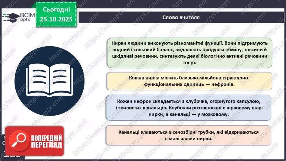№029 - Будова й функції сечовидільної системи людини. Сечоутворення.9 №029 - Будова й функції сечовидільної системи людини. Сечоутворення.9