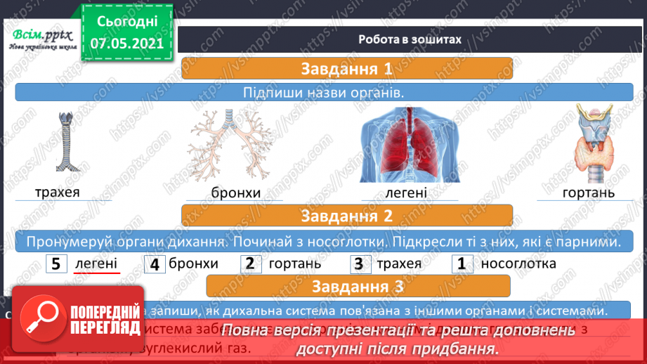 №056 - Які органи утворюють дихальну систему17 №056 - Які органи утворюють дихальну систему17