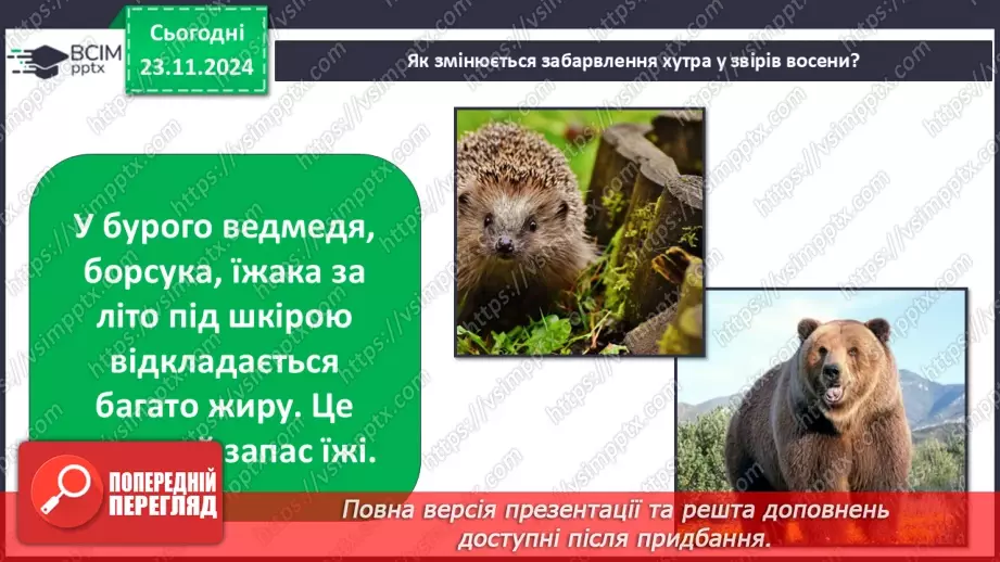 №0037 - Як звірі готуються до зими21 №0037 - Як звірі готуються до зими21