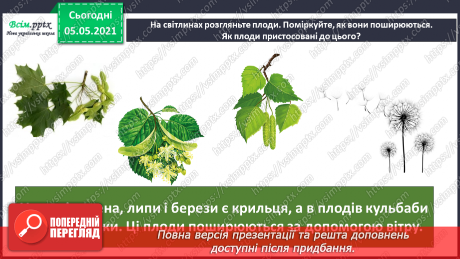 №033 - Розмноження квіткових рослин12