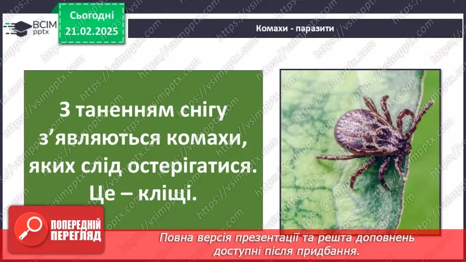 №0072 - Які комахи з’являються першими навесні18