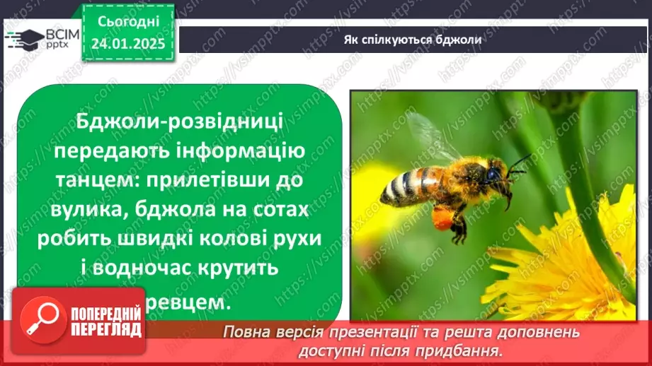 №0059 - Яка користь від знань8 №0059 - Яка користь від знань8