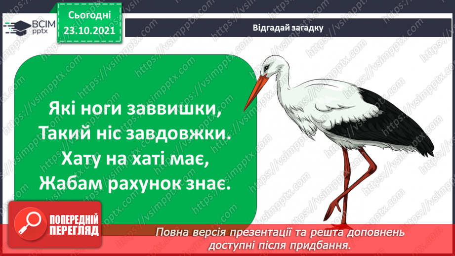№030 - Як територія може стати домівкою? Комікс: «Як зимують комахи?»6 №030 - Як територія може стати домівкою? Комікс: «Як зимують комахи?»6