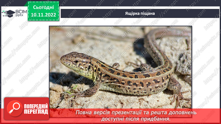 №038 - Риби, земноводні та плазуни.24 №038 - Риби, земноводні та плазуни.24