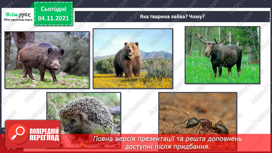 №040 - Як тварини пристосувалися добувати корм17 №040 - Як тварини пристосувалися добувати корм17