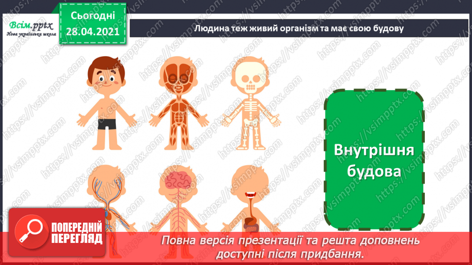№17-18 - Виготовлення лепбука «Моє тіло».5