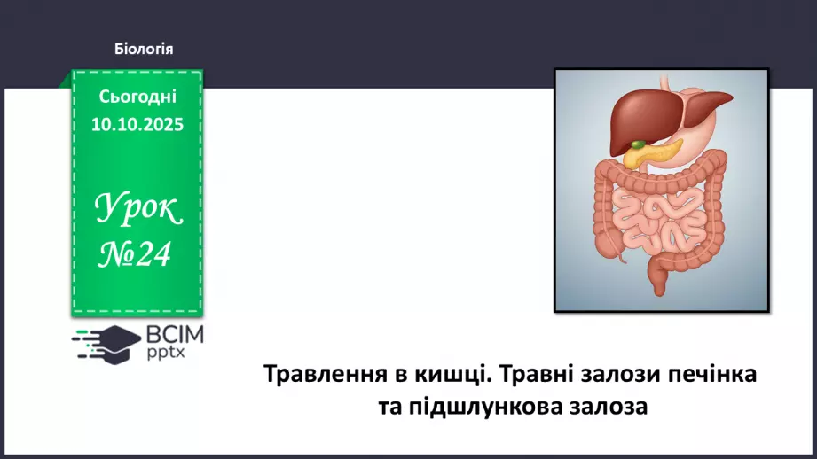 №024 - Травлення в кишці. Травні залози: печінка та підшлункова залоза.0 №024 - Травлення в кишці. Травні залози: печінка та підшлункова залоза.0