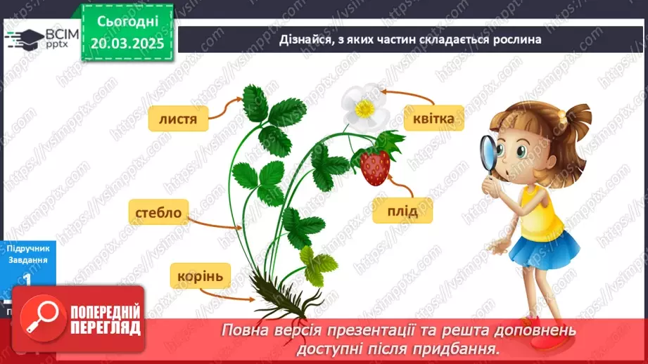№084 - Що спільного між усіма рослинами? Як берегти рослини"? Усі рослини різні, але є й спільне5