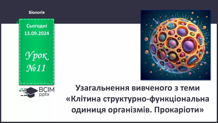 №11 - Узагальнення вивченого з теми «Клітина структурно-функціональна одиниця організмів. Прокаріоти».0