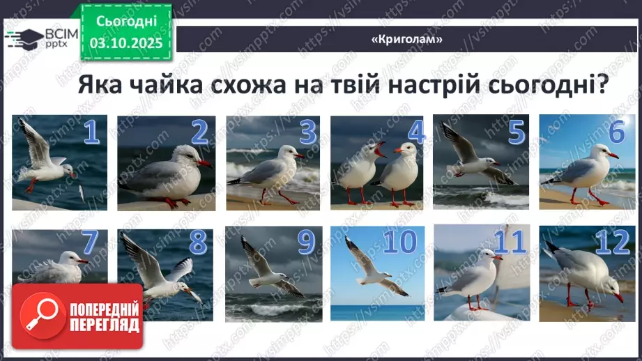№13 - П/О ГР1, ГР2, ГР3, ГР4 Алегоричні образи. Утілення прагнення до високої мети в образі чайки Джонатана.2 №13 - П/О ГР1, ГР2, ГР3, ГР4 Алегоричні образи. Утілення прагнення до високої мети в образі чайки Джонатана.2