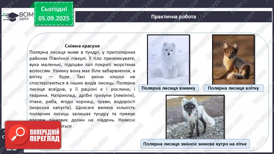 №007-8 - Екологічні фактори. Адаптації. Популяція та її характеристики.24 №007-8 - Екологічні фактори. Адаптації. Популяція та її характеристики.24