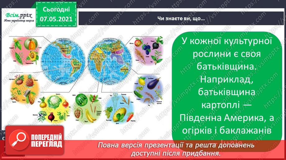 №041 - Різноманітність культурних рослин. Значення рослин18 №041 - Різноманітність культурних рослин. Значення рослин18