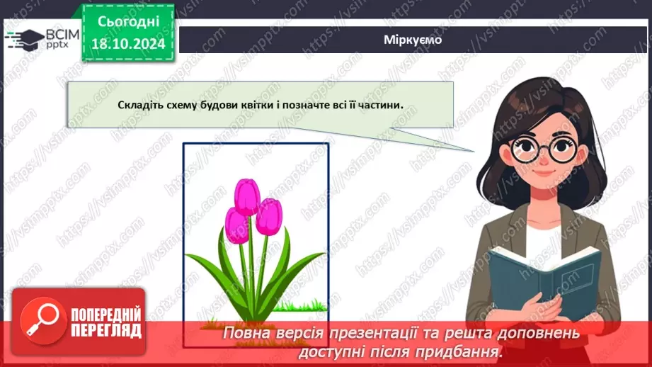 №27 - Узагальнення вивченого з теми «Характерні риси та будова вищих рослин».19